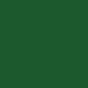 dark green school color